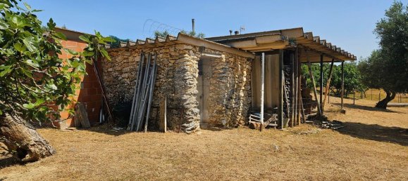 Terreno em Alcanena, Portugal N.º 190403 14