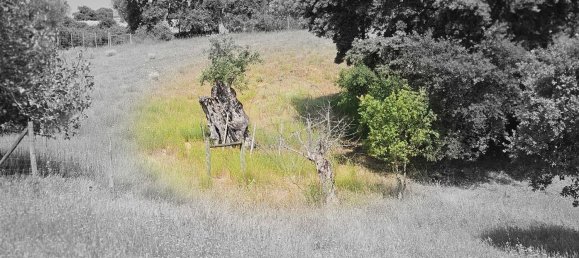 Terreno em Alcanena, Portugal N.º 190403 8