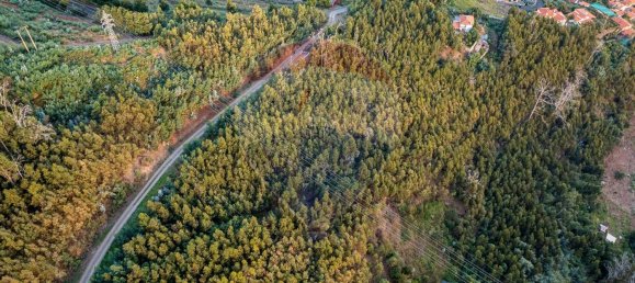 Terrain à Funchal, Portugal 41760m² No. 92667 8