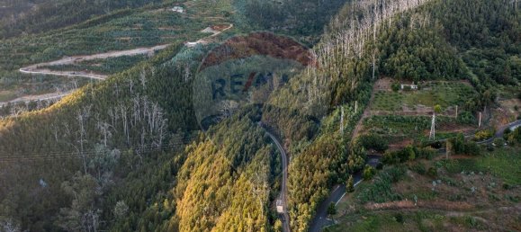 Terrain à Funchal, Portugal 41760m² No. 92667 6