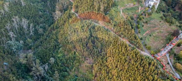 Terrain à Funchal, Portugal 41760m² No. 92667 5