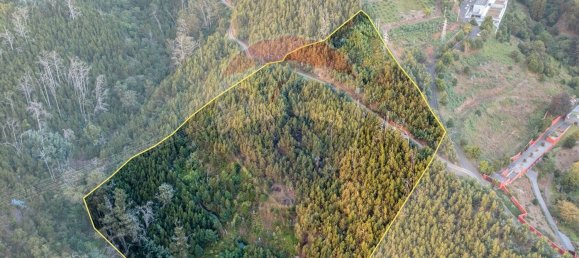 Terrain à Funchal, Portugal 41760m² No. 92667 4