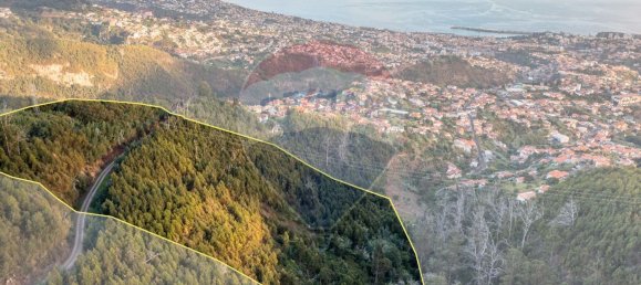 Terrain à Funchal, Portugal 41760m² No. 92667 2
