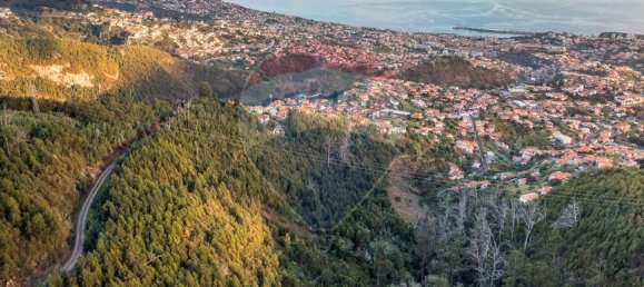 Terrain à Funchal, Portugal 41760m² No. 92667 3
