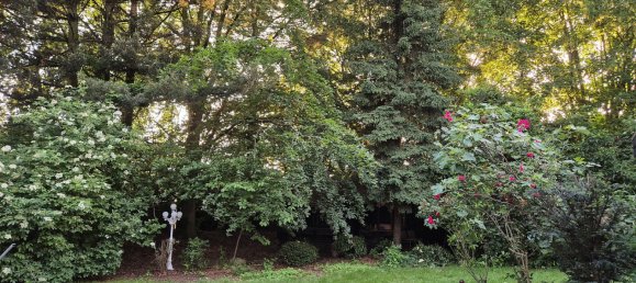 6 rooms Bungalow in Korschenbroich, Germany No. 217790 30