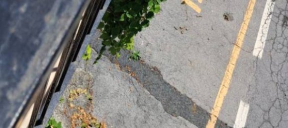 1 bedroom Apartment in Celle Ligure, Italy No. 220939 15