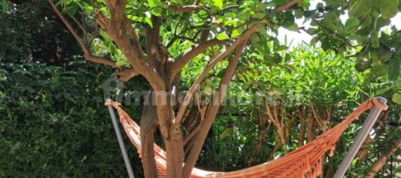 1 bedroom Apartment in Celle Ligure, Italy No. 220939 2