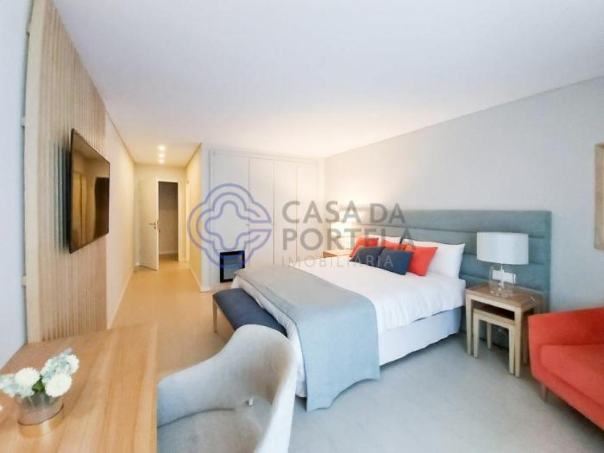 استوديو في Lagos, Portugal رقم 2624