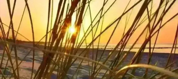 Casa de 5 habitaciónes en Vorpommern-Rugen, Germany No. 226889 24