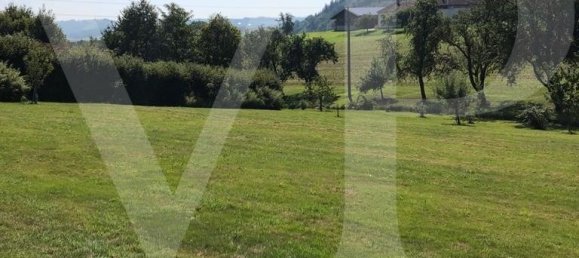 Terreno en Engerwitzdorf, Austria No. 101353 8