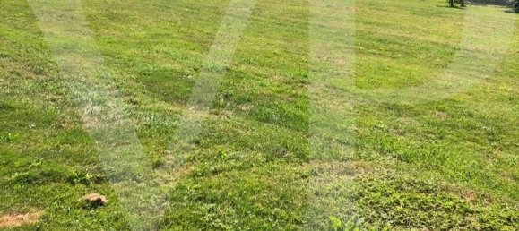 Terreno en Engerwitzdorf, Austria No. 101353 5