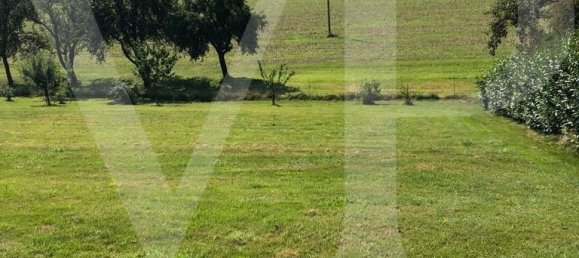 Terreno en Engerwitzdorf, Austria No. 101353 4