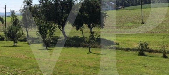 Terreno en Engerwitzdorf, Austria No. 101353 3