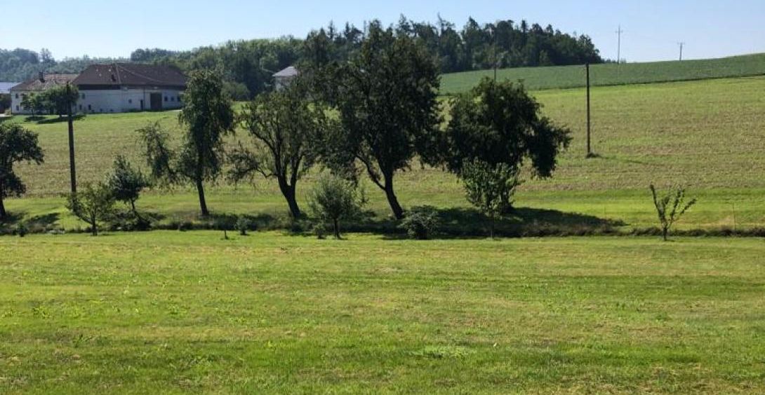 Terreno en Engerwitzdorf, Austria No. 101353