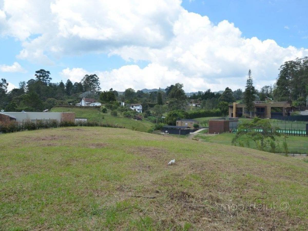 Земельный участок в Антьокия, Колумбия № 445