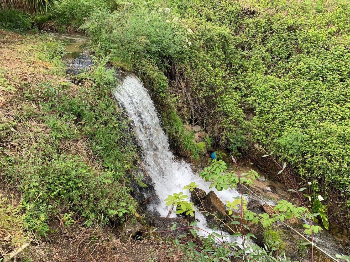 1 bedroom House in Covilha, Portugal No. 191309