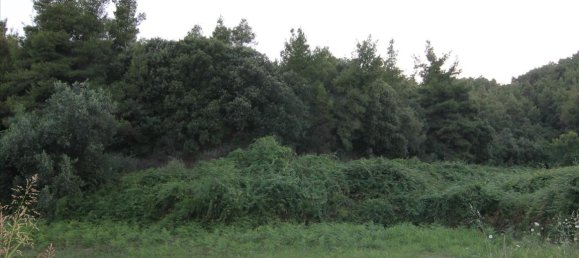 3 chambres Propriété commerciale à Chalkidiki, Greece No. 6658 11