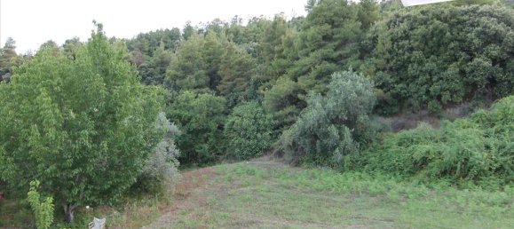 3 chambres Propriété commerciale à Chalkidiki, Greece No. 6658 10