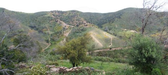 6 bedrooms House in Sao Bartolomeu de Messines, Portugal No. 32916 5