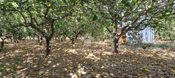 Terreno en Campofelice di Roccella, Italy 5900 m² No. 275412 15