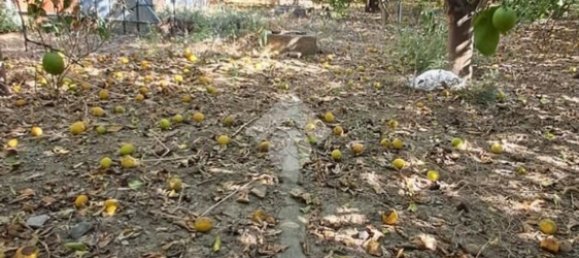 Terreno en Campofelice di Roccella, Italy 5900 m² No. 275412 23