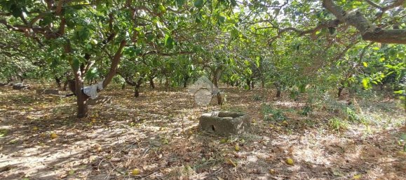 Terreno en Campofelice di Roccella, Italy 5900 m² No. 275412 19