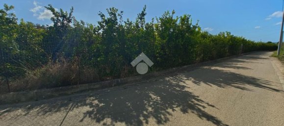 Terreno en Campofelice di Roccella, Italy 5900 m² No. 275412 11