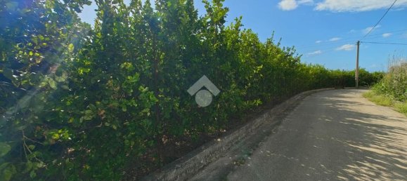 Terreno en Campofelice di Roccella, Italy 5900 m² No. 275412 6