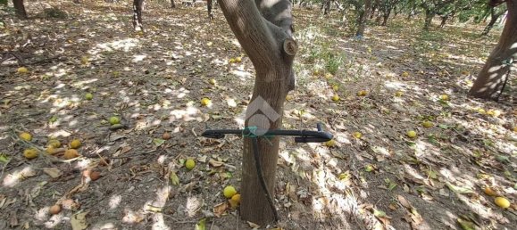 Terreno en Campofelice di Roccella, Italy 5900 m² No. 275412 21