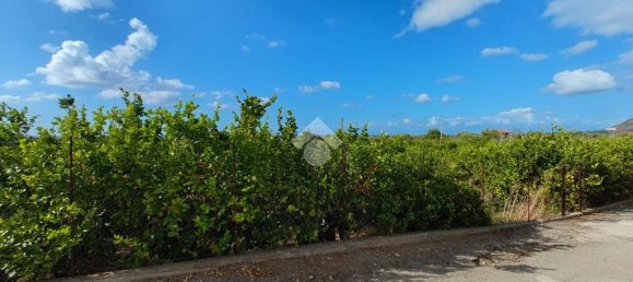 Terreno en Campofelice di Roccella, Italy 5900 m² No. 275412 12