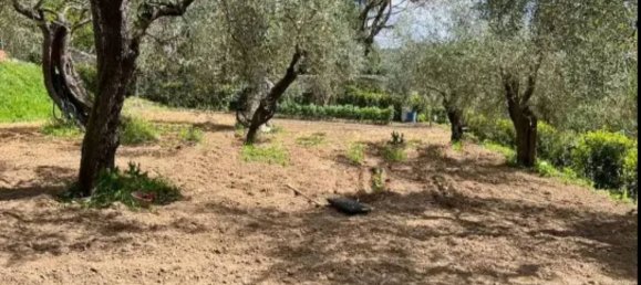 9 rooms House in Massarosa, Italy No. 111466 10