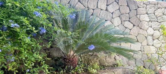 4 rooms House in Forio, Italy No. 307154 30