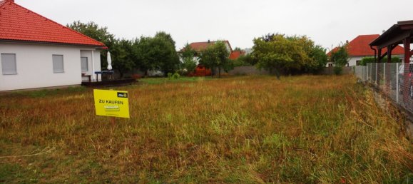 819m² Land in Purbach am Neusiedler See, Austria No. 137595 4