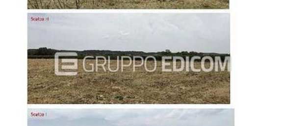 Grundstück in Tursi, Italy 1000m², Nr. 300747 4