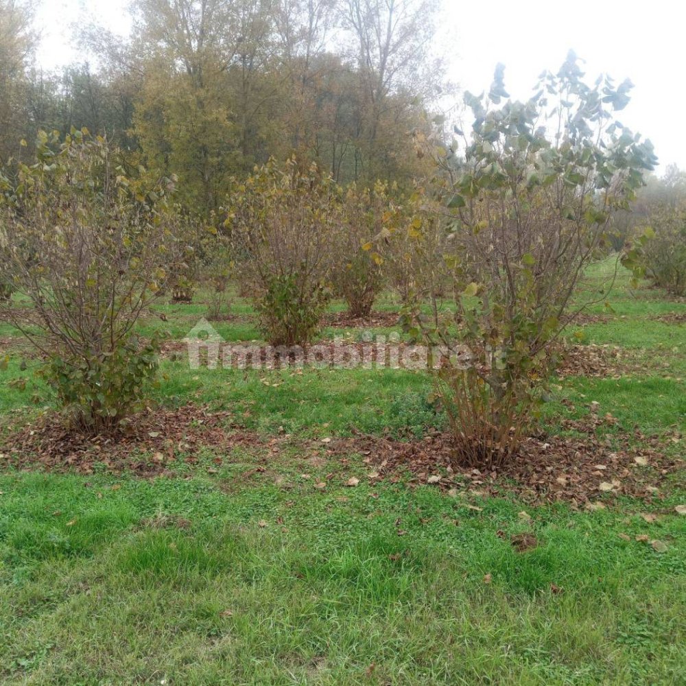 100000m² Land in Felizzano, Italy No. 256180