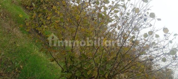 100000m² Land in Felizzano, Italy No. 256180 9