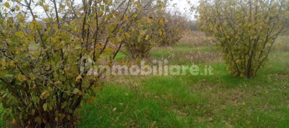 100000m² Land in Felizzano, Italy No. 256180 8