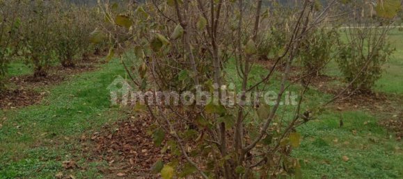 100000m² Land in Felizzano, Italy No. 256180 5