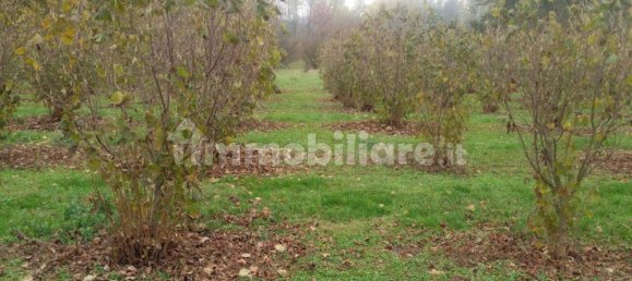 100000m² Land in Felizzano, Italy No. 256180 2