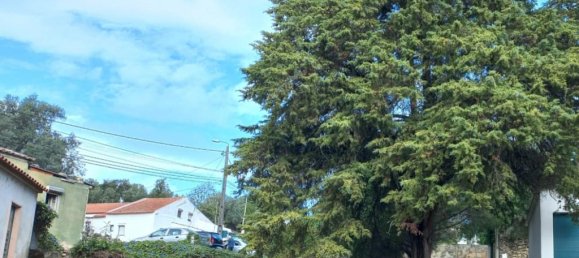 4 Schlafzimmer Haus in Sintra, Portugal, Nr. 118278 44