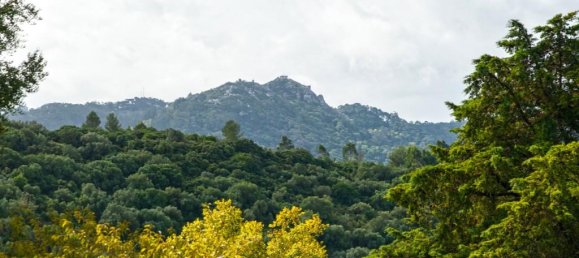4 Schlafzimmer Haus in Sintra, Portugal, Nr. 118278 7