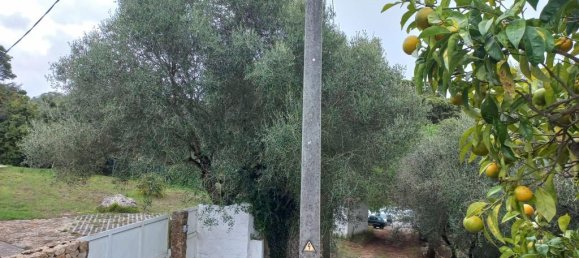 4 Schlafzimmer Haus in Sintra, Portugal, Nr. 118278 38