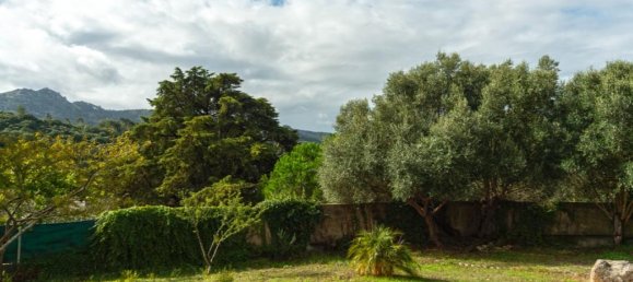 4 Schlafzimmer Haus in Sintra, Portugal, Nr. 118278 35
