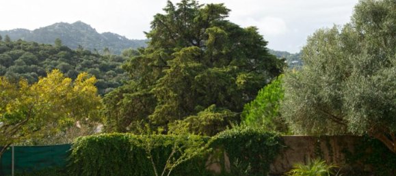 4 Schlafzimmer Haus in Sintra, Portugal, Nr. 118278 41