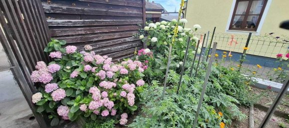 4-salle Maison à Schrattenthal, Austria No. 198320 32