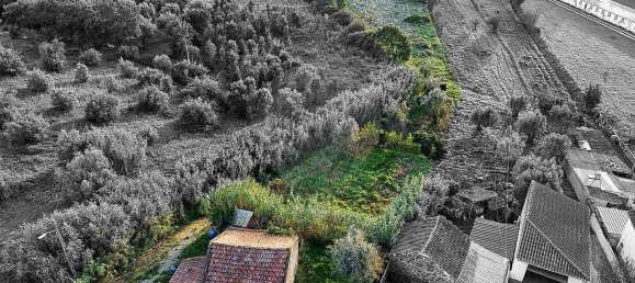 2 Schlafzimmer Haus in Rio Maior, Portugal, Nr. 30174 13