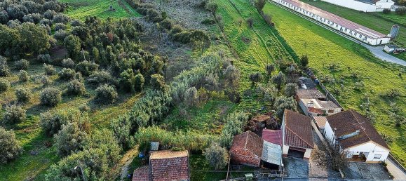 2 Schlafzimmer Haus in Rio Maior, Portugal, Nr. 30174 16