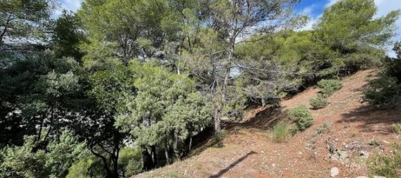 Земельный участок 7070м² в Коломар, Франция № 100320 3