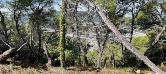 Земельный участок 7070м² в Коломар, Франция № 100320 4