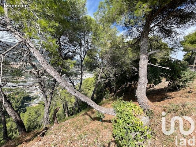 Земельный участок 7070м² в Коломар, Франция № 100320